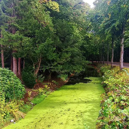 Casa vacanze 4 Person In Tonder-by Traum