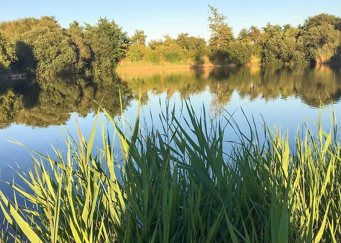 Semesterbostad 4 Person In Tonder-by Traum *