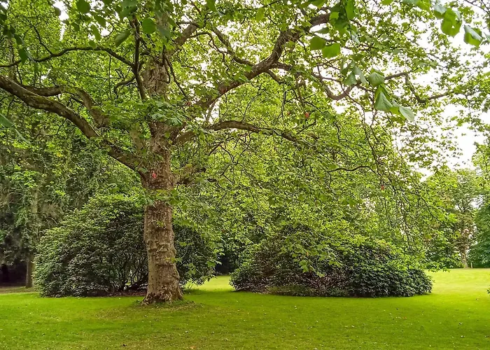 4 Person In Tonder-by Traum